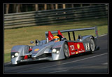 ALMS, Audi R10, 24hr of Le Mans